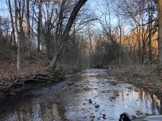 0 Shelter Branch Rd Tract 3