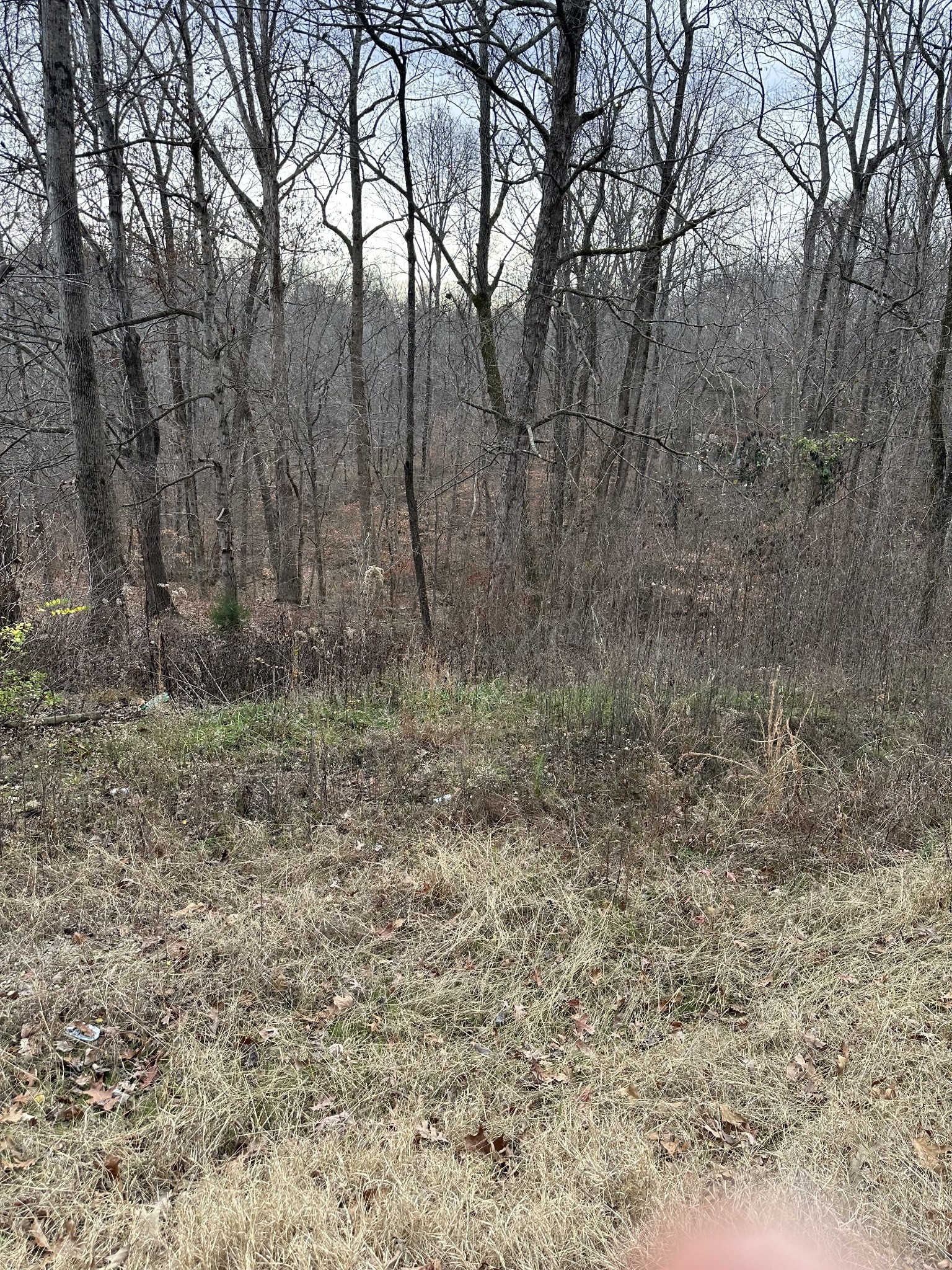 461 Ranger Rd  