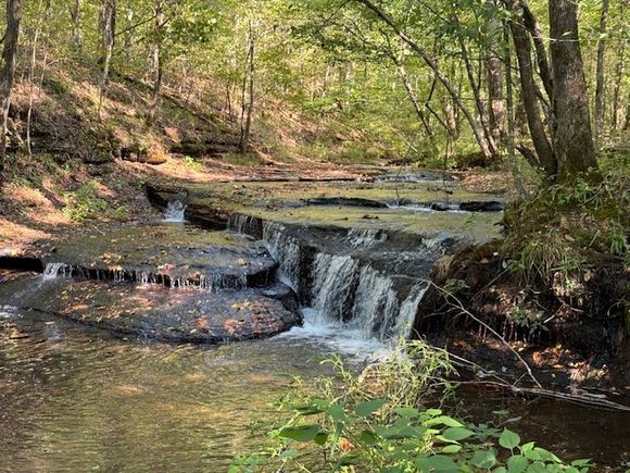 535 Goodman Branch Rd Hohenwald, TN Plot of land Sold - Photo 1 of 28. Opens carousel modal
