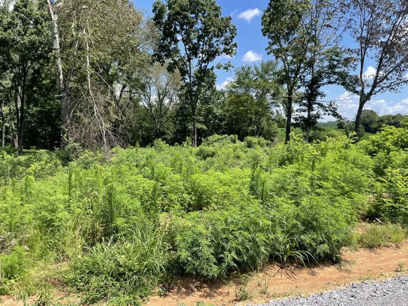 0 Hidden Hills Lane Summertown, TN Land Active - Photo 1 of 1. Opens carousel modal