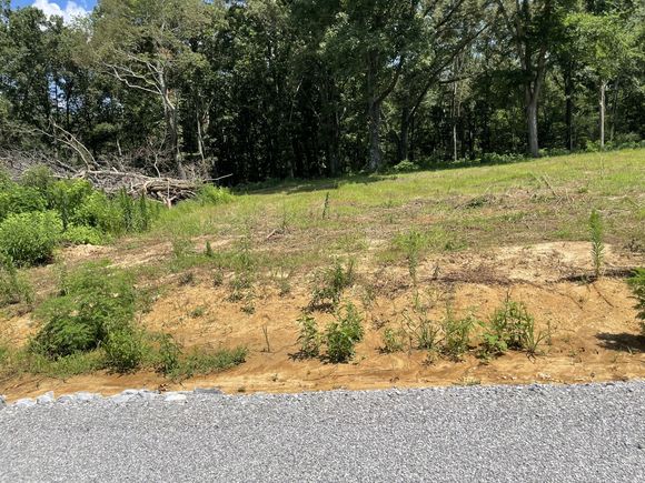 0 Hidden Hills Lane Summertown, TN Land Active - Photo 1 of 1. Opens carousel modal