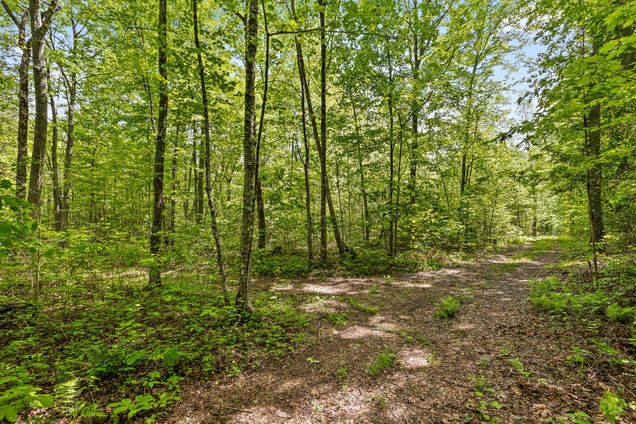 10 Acres Blaine Smith Road Graysville, TN Land Active - Photo 1 of 66. Opens carousel modal