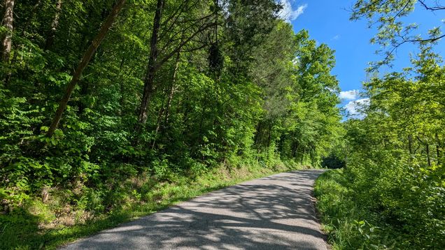 0 Wolf Hill Rd Bethpage, TN Plot of land Active - Photo 1 of 20. Opens carousel modal