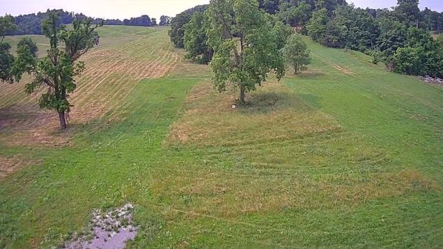 0 John Brinkley Road Lot 5 Shelbyville, TN Plot of land Active - Photo 1 of 3. Opens carousel modal