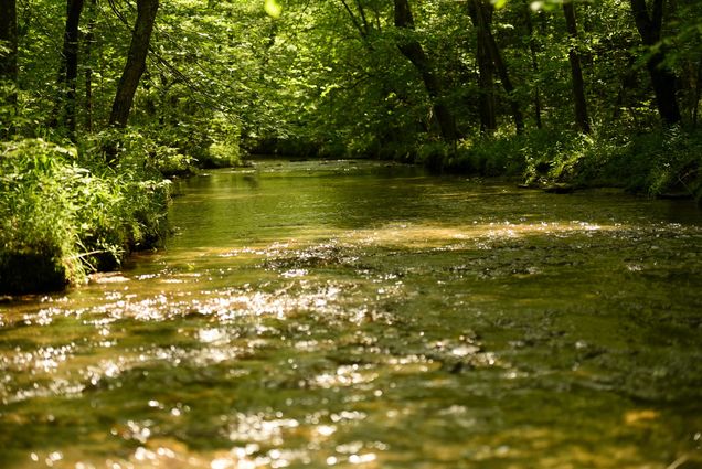 0 Grandaddy Rd Lawrenceburg, TN Plot of land Active - Photo 1 of 52. Opens carousel modal