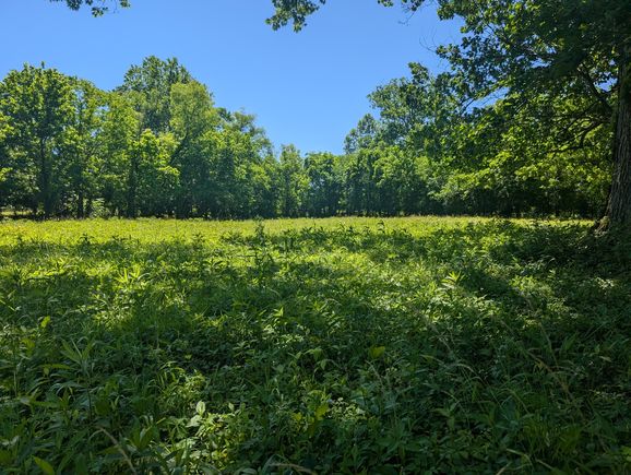 0 Sudberry Road Bell Buckle, TN Plot of land Active - Photo 1 of 3. Opens carousel modal