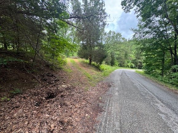1970 Trace Creek Rd Hohenwald, TN Land Sold - Photo 1 of 14. Opens carousel modal