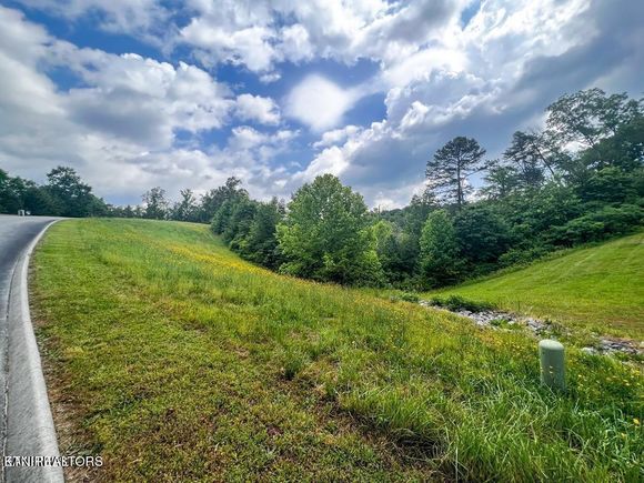 6219 Outlook Trl Russellville, TN Land Active - Photo 1 of 16. Opens carousel modal
