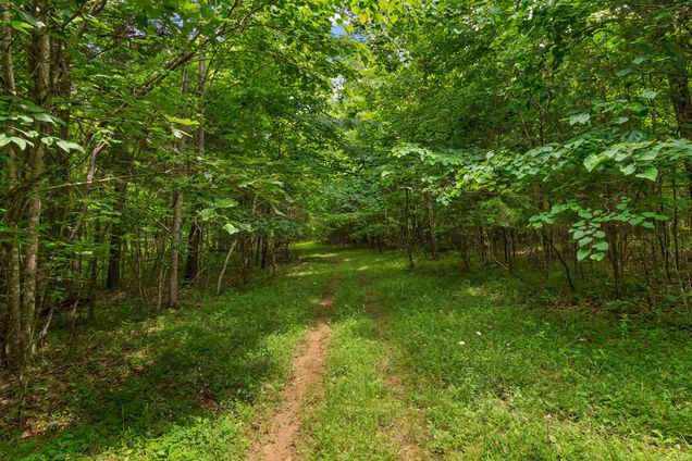 0 Lasea Rd Spring Hill, TN Plot of land Active - Photo 1 of 35. Opens carousel modal