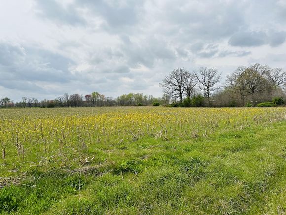 270 Dugout Road Summertown, TN Plot of land Active - Photo 1 of 1. Opens carousel modal
