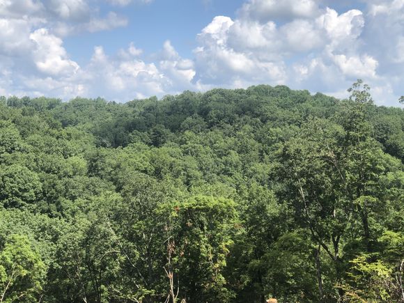 1096 Paiute Trail Pegram, TN Plot of land Coming Soon - Photo 1 of 27. Opens carousel modal