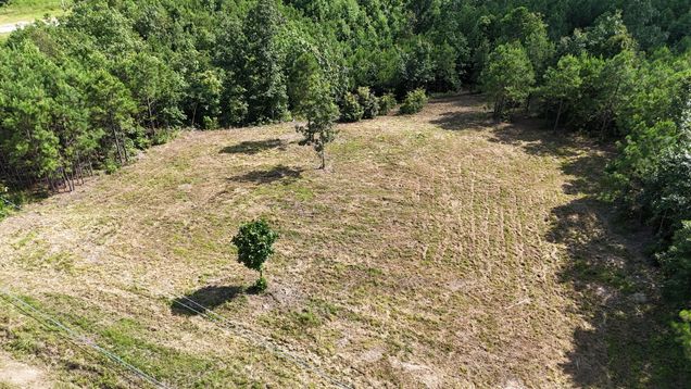 7696 Old Hohenwald Rd Linden, TN Plot of land Active - Photo 1 of 16. Opens carousel modal