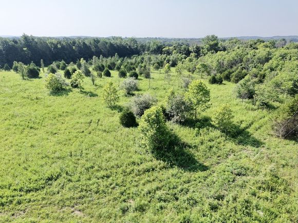 1 Bristol Dr Lascassas, TN Plot of land Active - Photo 1 of 8. Opens carousel modal