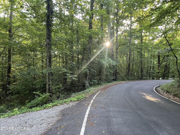0 Gamble Lane Walland, TN Plot of land Sold - Photo 1 of 3. Opens carousel modal