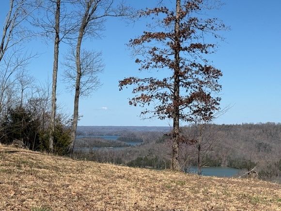 31c Rock Fish Rd Hilham, TN Plot of land Active - Photo 1 of 15. Opens carousel modal