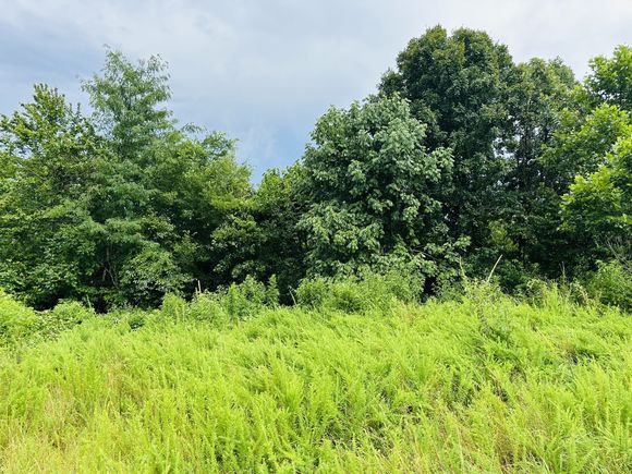 0 Topside Drive Dover, TN Plot of land Active - Photo 1 of 11. Opens carousel modal