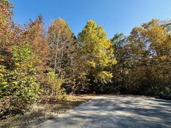 305 Marie Street Flintville, TN Plot of land Active - Photo 1 of 2. Opens carousel modal
