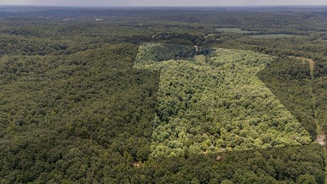 0 Copperhead Ln Olivehill, TN Plot of land Active - Photo 1 of 7. Opens carousel modal