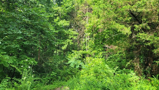 1 Sugar Ridge Rd Spring Hill, TN Plot of land Active - Photo 1 of 4. Opens carousel modal