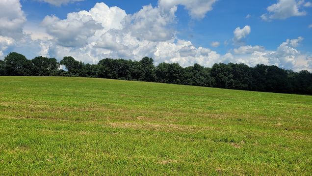 7 Mount Lebanon Church Rd Shelbyville, TN Plot of land Active - Photo 1 of 1. Opens carousel modal