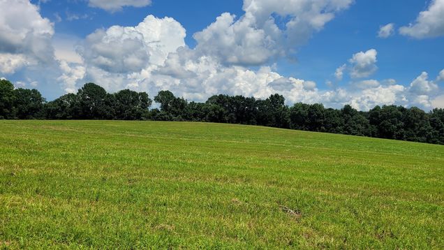 8 Mount Lebanon Church Rd Shelbyville, TN Plot of land Active - Photo 1 of 1. Opens carousel modal