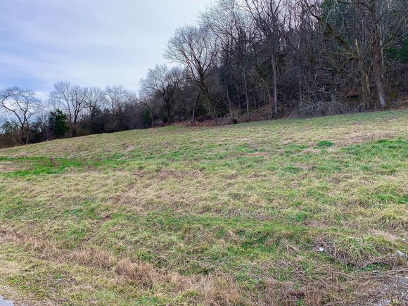 4 Oakley Rd Liberty, TN Plot of land Active - Photo 1 of 3. Opens carousel modal