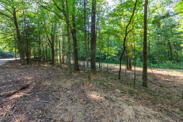 0 Foster Rd Middleton, TN Land Active - Photo 1 of 15. Opens carousel modal