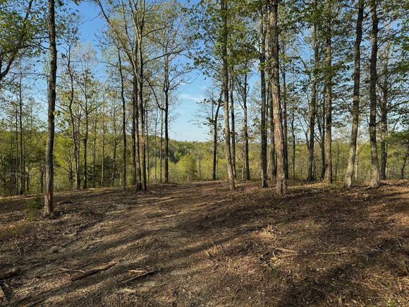 3900 Roan Creek Rd Linden, TN Plot of land Active - Photo 1 of 38. Opens carousel modal
