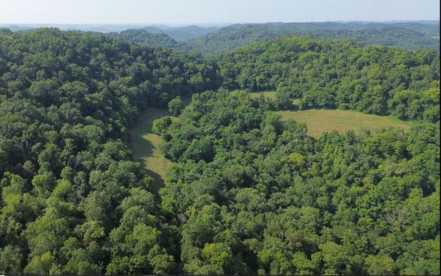 0 Hackett Hollow Ln Pleasant Shade, TN Plot of land Active - Photo 1 of 33. Opens carousel modal