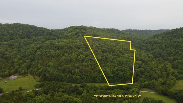 0 Hackett Hollow Ln Pleasant Shade, TN Land Active - Photo 1 of 9. Opens carousel modal
