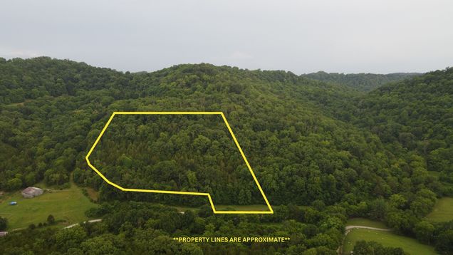 0 Hackett Hollow Ln Pleasant Shade, TN Land Active - Photo 1 of 15. Opens carousel modal