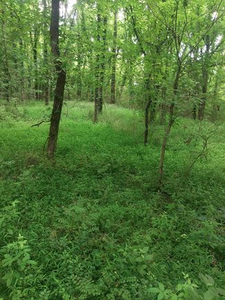 468 Adams Rd Ardmore, TN Plot of land Active - Photo 1 of 8. Opens carousel modal