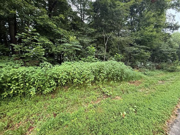 11 Pickett Ln Jamestown, KY Plot of land Active - Photo 1 of 6. Opens carousel modal
