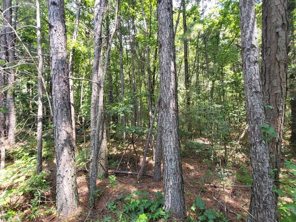 2 Chestnut Hill Rd Eva, TN Plot of land Active - Photo 1 of 14. Opens carousel modal