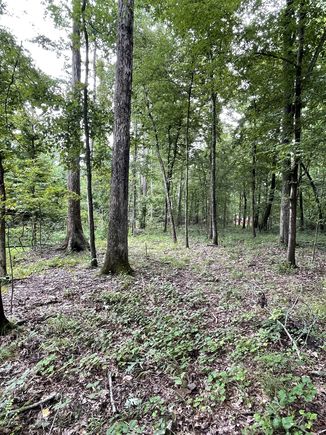 0 Brownfield Rd Dover, TN Plot of land Active - Photo 1 of 10. Opens carousel modal