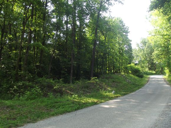 0 Old Altamont Rd Tracy City, TN Plot of land Active - Photo 1 of 12. Opens carousel modal