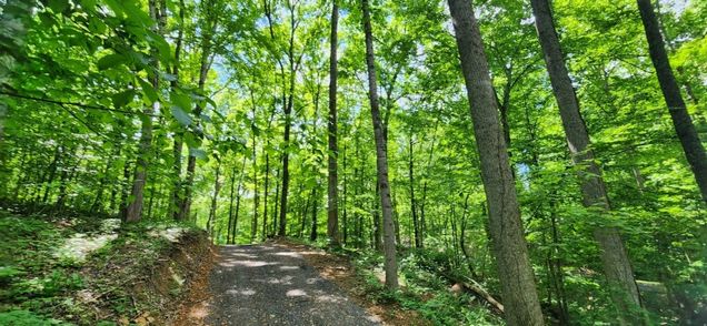 0 Magamor Dr Lafayette, TN Plot of land Active - Photo 1 of 5. Opens carousel modal