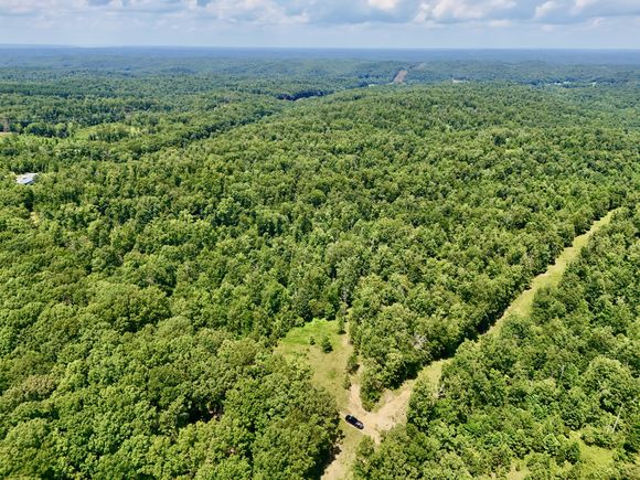 0 Bear Creek Road Waverly, TN Plot of land Active - Photo 1 of 20. Opens carousel modal
