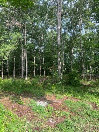 0 Lakewood Park Rd Beechgrove, TN Plot of land Active - Photo 1 of 3. Opens carousel modal