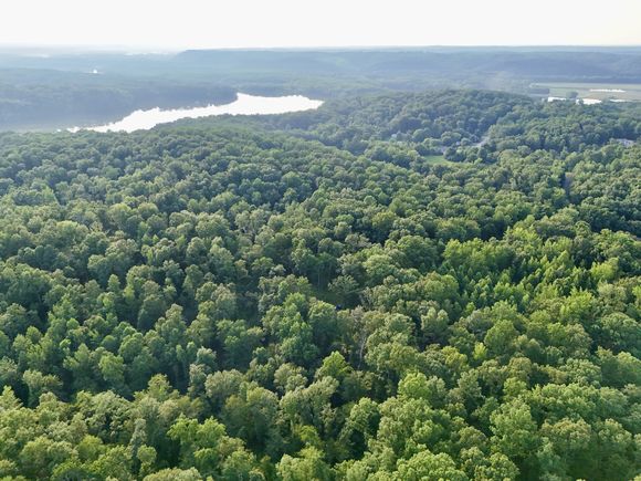 0 Wildlife Road Dover, TN Plot of land Active - Photo 1 of 26. Opens carousel modal