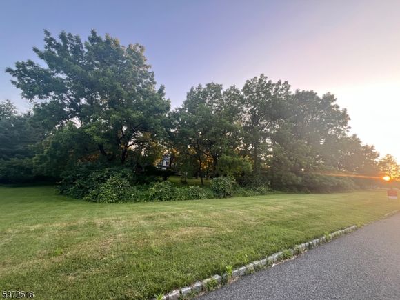 24 Liberty Corner Rd Warren Twp., NJ Plot of land Active - Photo 1 of 2. Opens carousel modal