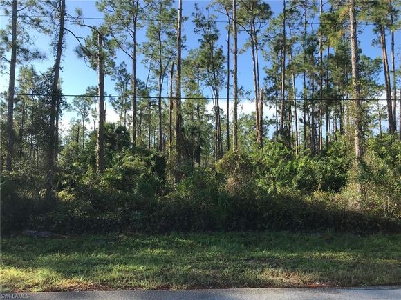 24th AVE NE NAPLES, FL Plot of land Sold - Photo 1 of 25. Opens carousel modal