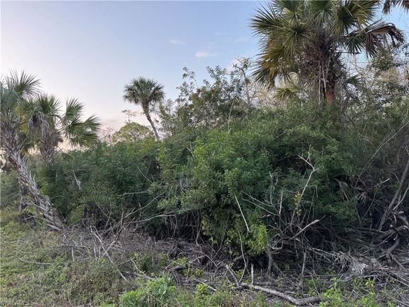 4187 36 AVE SE NAPLES, FL Plot of land Active - Photo 1 of 6. Opens carousel modal