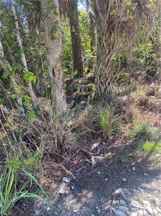 36TH AVE SE NAPLES, FL Plot of land Active - Photo 1 of 7. Opens carousel modal