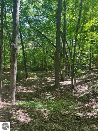 Parcel A N 45 Road Manton, MI Land Sold - Photo 1 of 8. Opens carousel modal