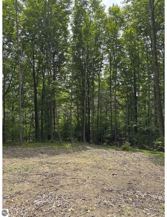 Parcel A N 45 Road Manton, MI Plot of land Active - Photo 1 of 12. Opens carousel modal