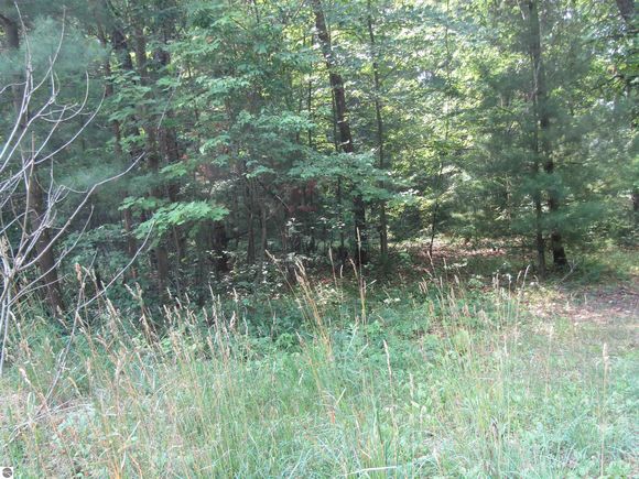 00_VL George Street Prescott, MI Plot of land Active - Photo 1 of 5. Opens carousel modal