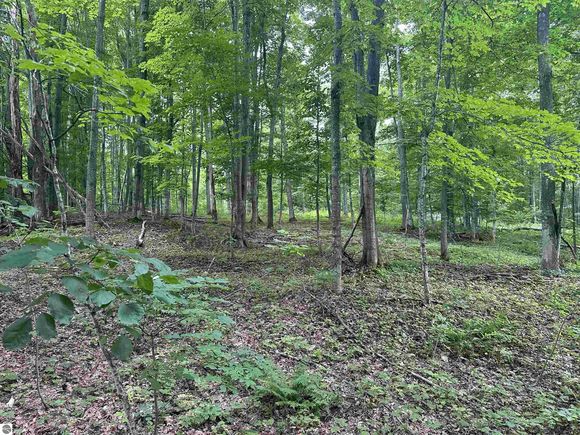 11629 S Tower Maple City, MI Plot of land Active - Photo 1 of 8. Opens carousel modal