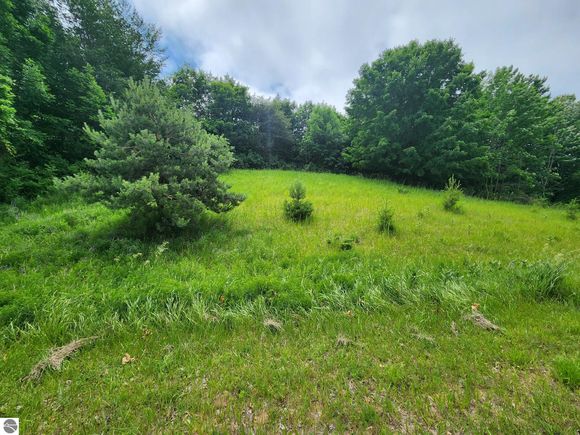 0000 Deer Ridge Trail Beulah, MI Land Active - Photo 1 of 39. Opens carousel modal