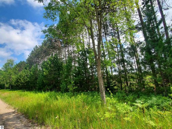 80 Acres Beall Road Bear Lake, MI Plot of land Active - Photo 1 of 9. Opens carousel modal